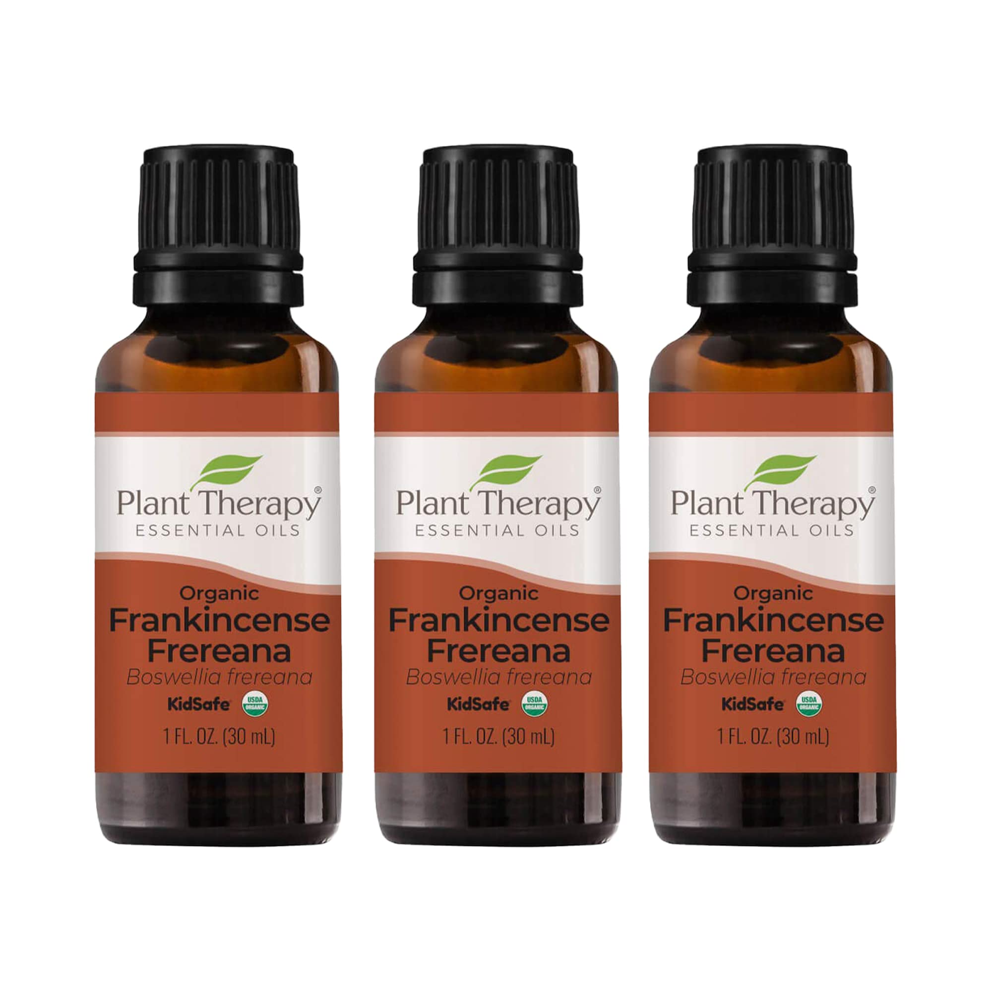 Plant Therapy Frankincense Frereana Essential Oil 100% Pure, USDA Certified Organic, Natural Aromatherapy Oil, Therapeutic Grade - 30mL (1 oz) 3-Pack for Relaxation, Meditation & Skin Care