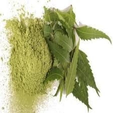 Organic Neem Leaves Powder 50g | Azadirachta Indica for Skin Care, Hair Growth & Acne Treatment | Natural Face Mask & Scalp Treatment | Herbal Remedy for Eczema & Dandruff | Perfect for DIY Beauty Recipes & Ayurvedic Remedies