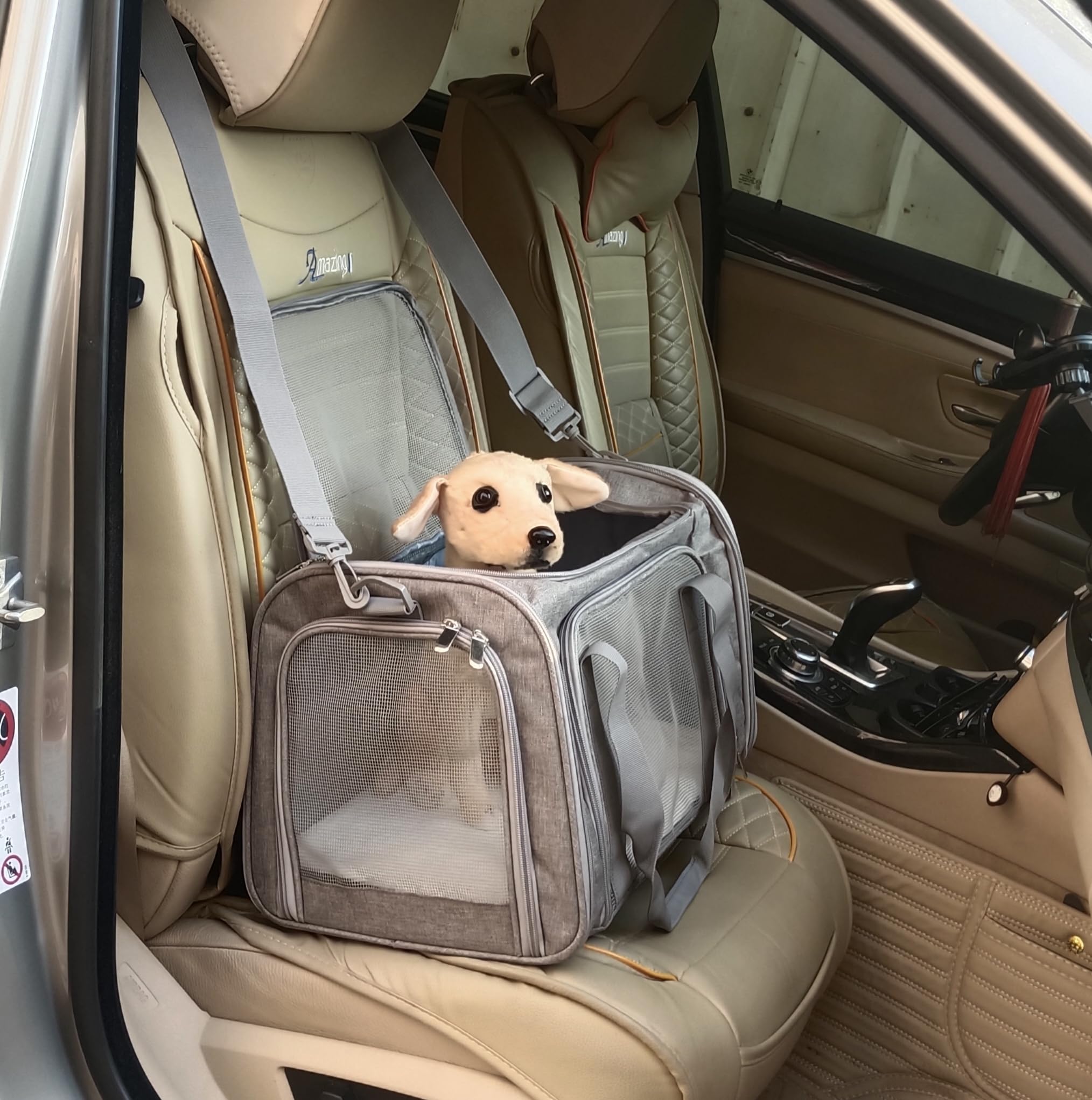 Airline Approved Collapsible Soft-Sided Pet Carrier for Small & Medium Cats & Dogs Up to 15 lbs - Lightweight Travel Cat Bag & Puppy Carrier (Medium, Grey) - Perfect for Air Travel, Vet Visits & Road Trips