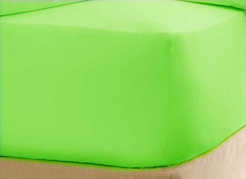 Parrot Green