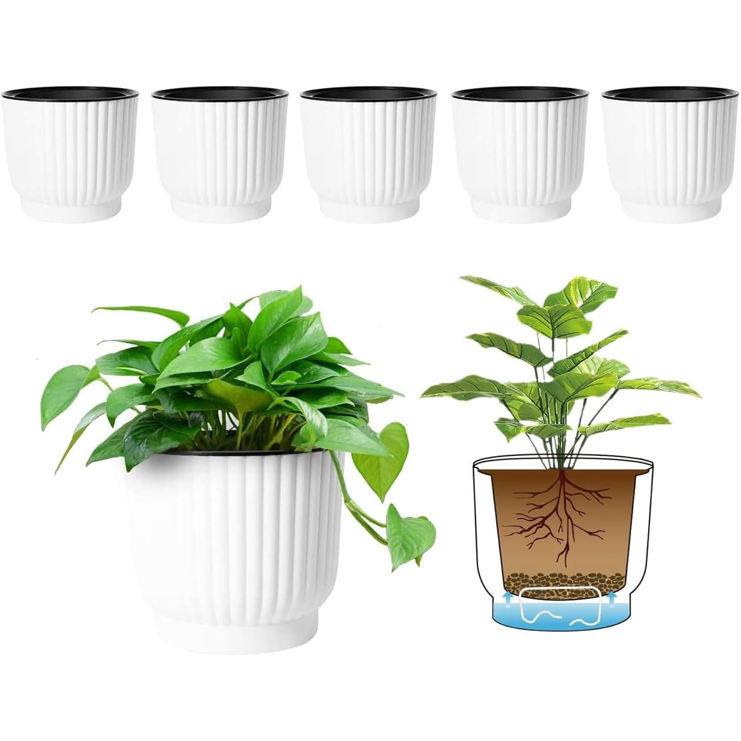 4.5 Inch Self Watering Plant Pots (6 Pack) - African Violet & Succulent Planter with Water Reservoir - Small Indoor Flower Pots for Home, Office Decor - White Ceramic Planters for Windowsill, Desk, Shelf Display