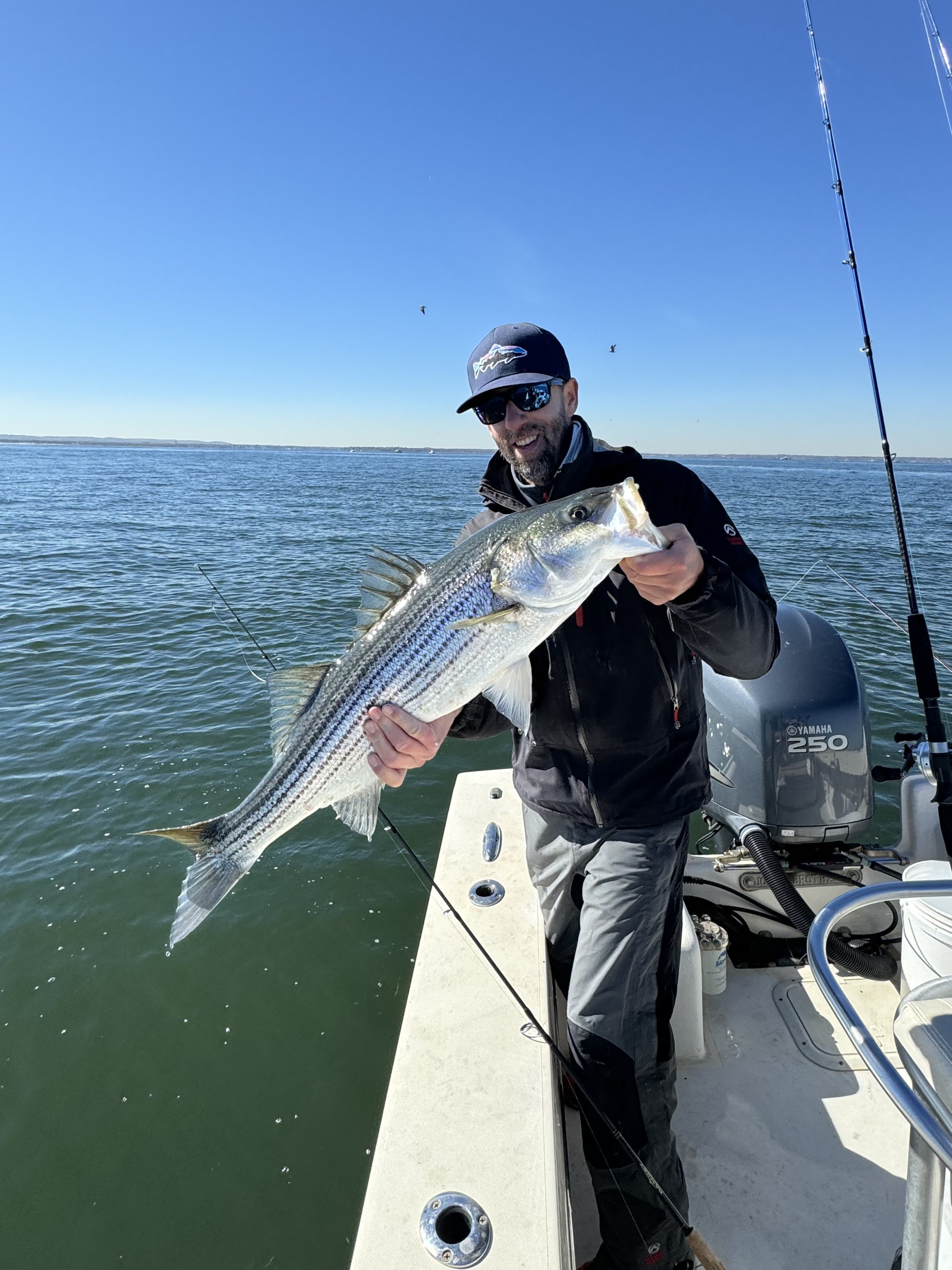 7' Medium Saltwater Spinning Fishing Rod - RRCSPSII 701M - Perfect for Surf Fishing, Pier Casting & Offshore Angling