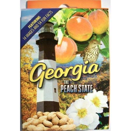 Florida Themed Playing Cards - Saddle Mountain Souvenirs | Perfect for Travel Gifts, Game Nights & Collectors