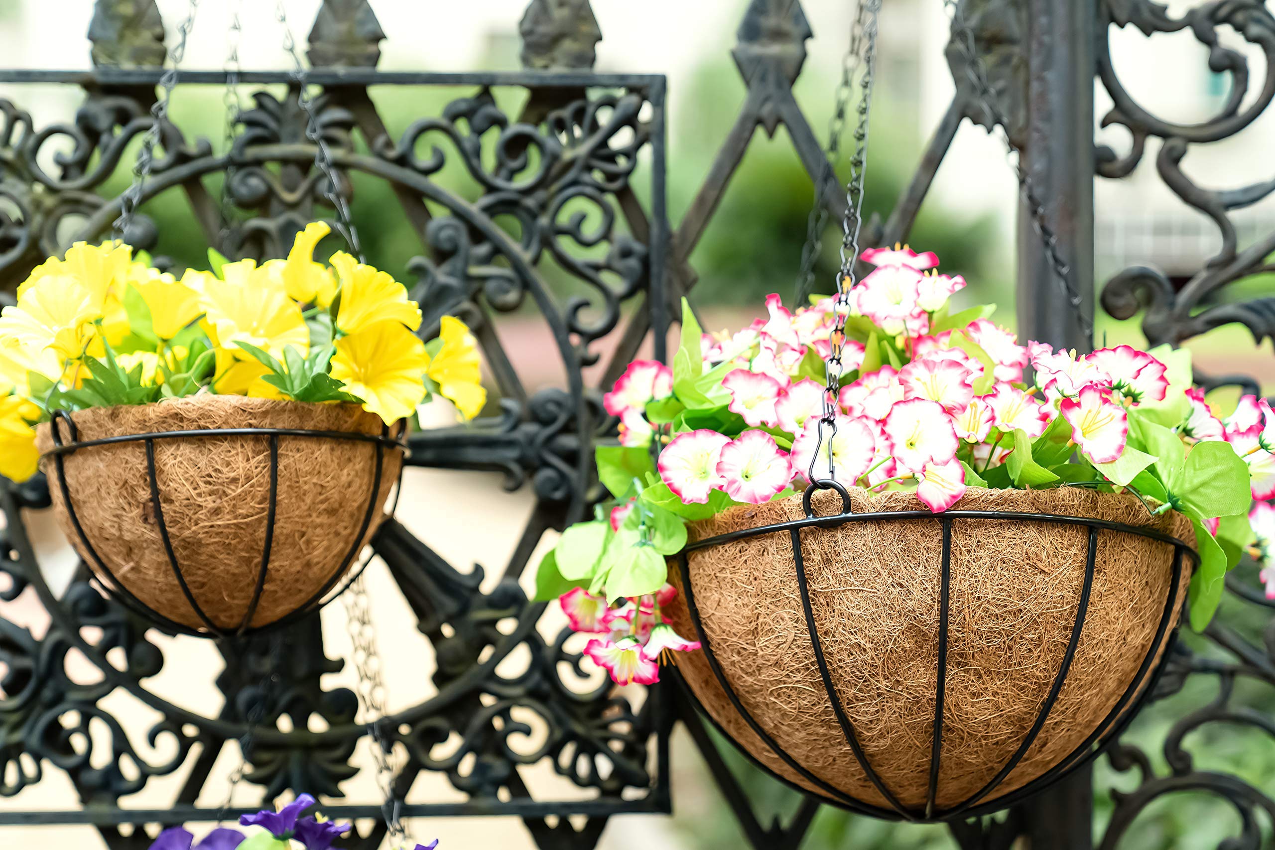 Kingbuy 12 Inch Metal Hanging Basket with Coconut Liner - Wire Planter for Indoor/Outdoor Plants, Flowers & Herbs - Perfect for Patio, Garden, Balcony & Home Decor
