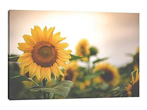 Sunflower Artwork-08