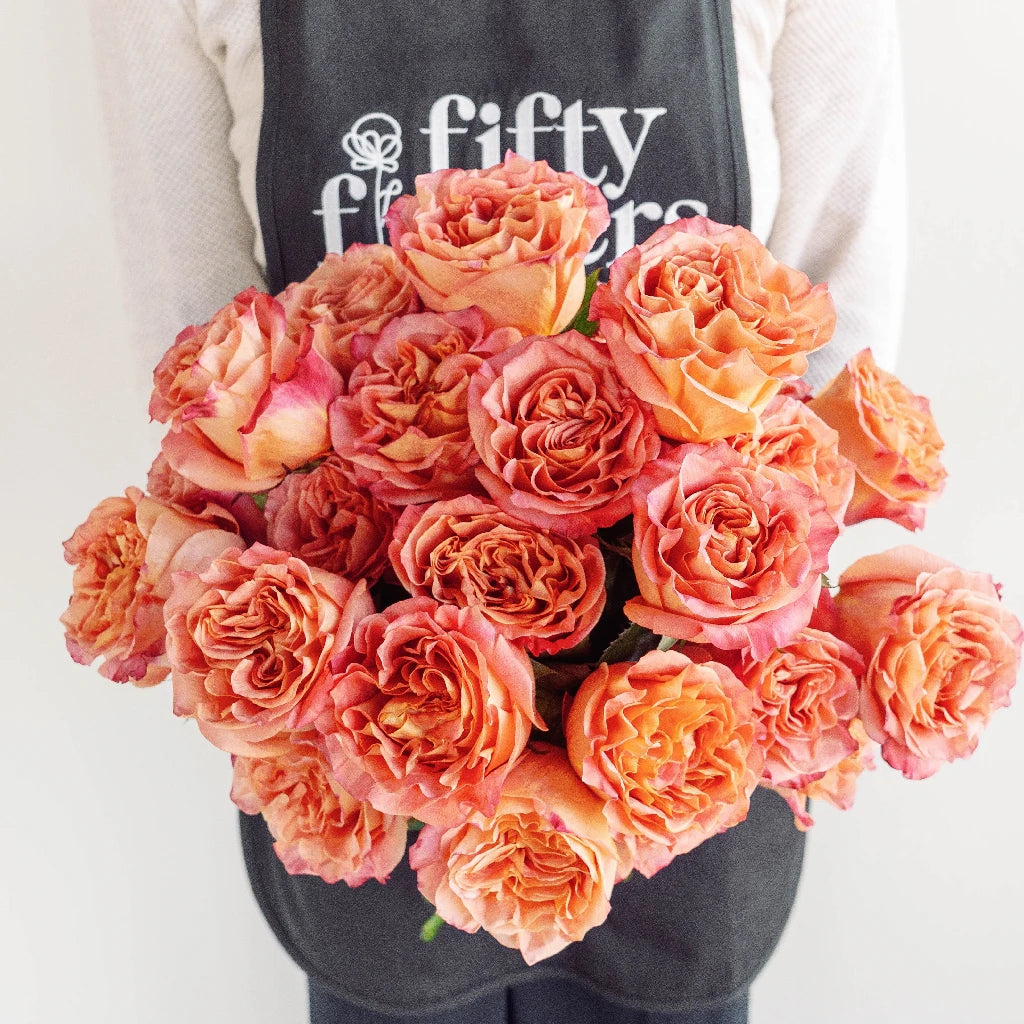 Premium Apricot Blend Garden Roses - Fresh Cut Flowers for Weddings, Bouquets, and Home Decor