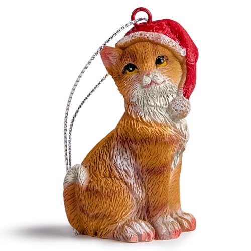 Orange Tabby