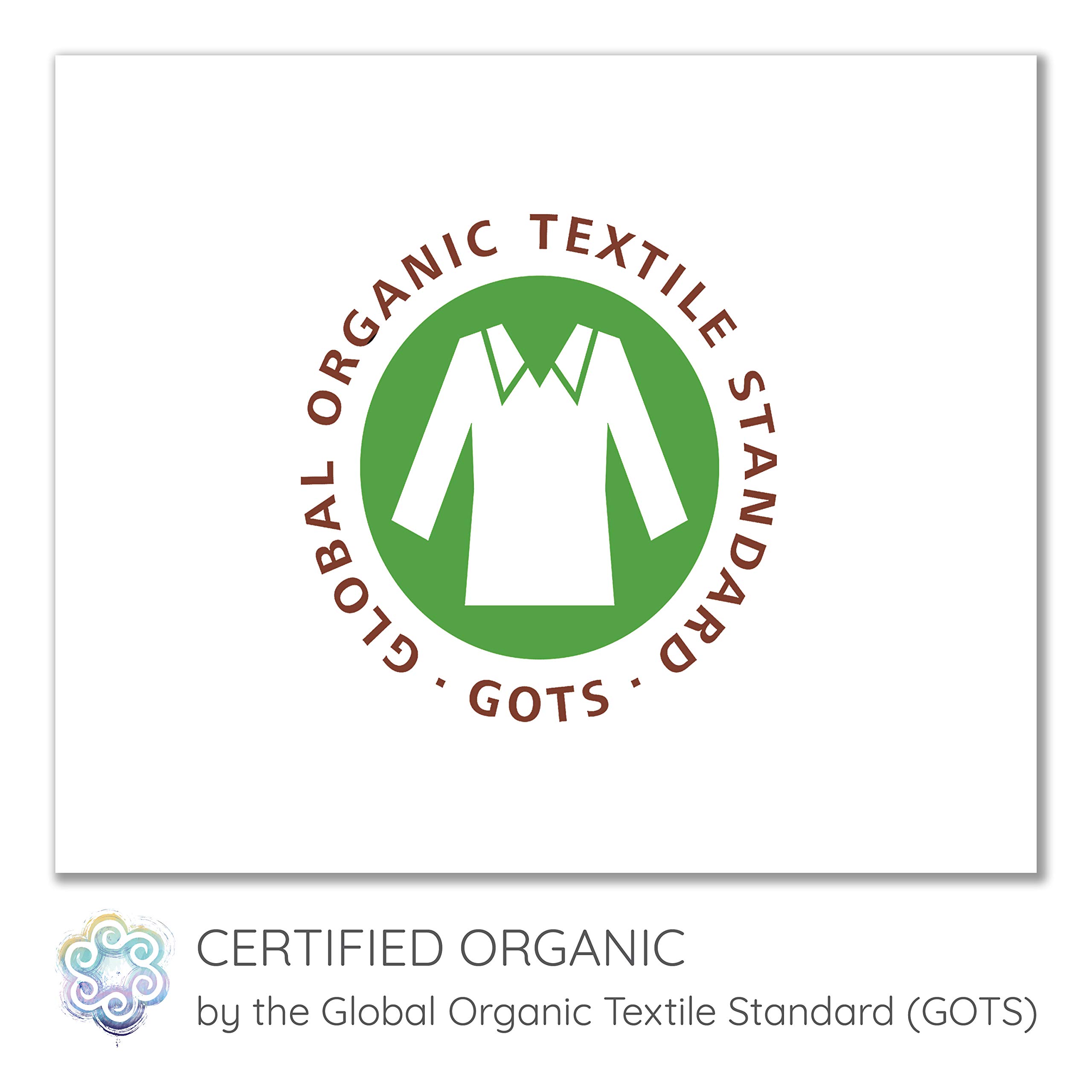 Organic Vegan Plant Fibers for Spinning, Blending & Dyeing - Exotic Variety Pack for Hand Spinners | Perfect for Yarn Crafting, Knitting & Weaving Projects