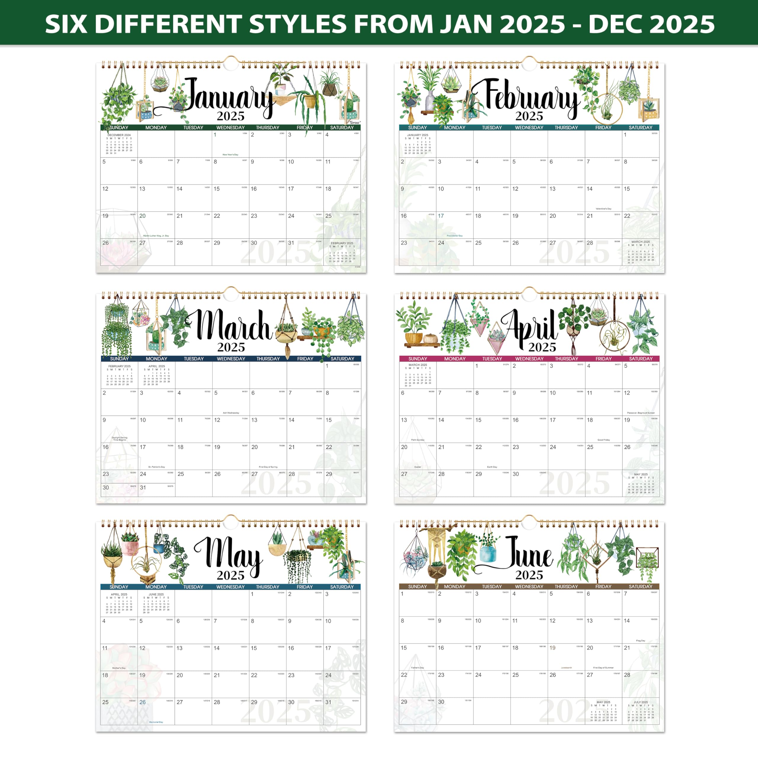 2025 Wall Calendar - 12 Month Large Format Planner (14.8