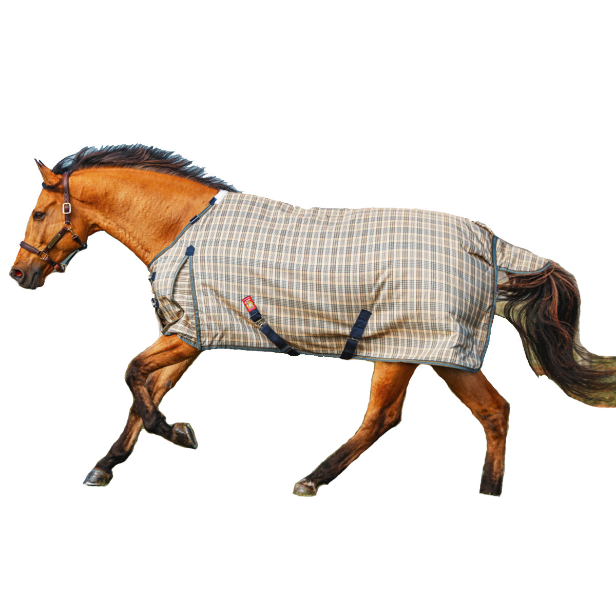 Heavy Duty 400g Baker Turnout Horse Blanket – Waterproof & Breathable for Winter Riding, Training, and Stable Use