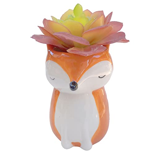 Firefox Shy Fox