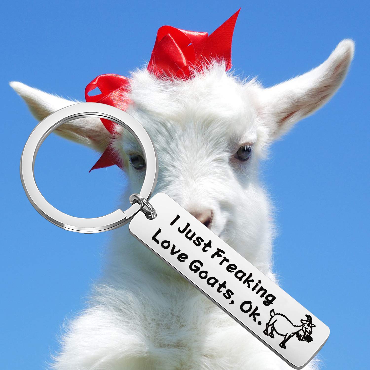 LQRI Funny Goat Keychain - Perfect Gift for Goat Lovers, Farmers & Crazy Goat Ladies | Silver Farm Animal Keyring for Pet Goat Enthusiasts | Great for Birthdays, Christmas & Farm-Themed Parties