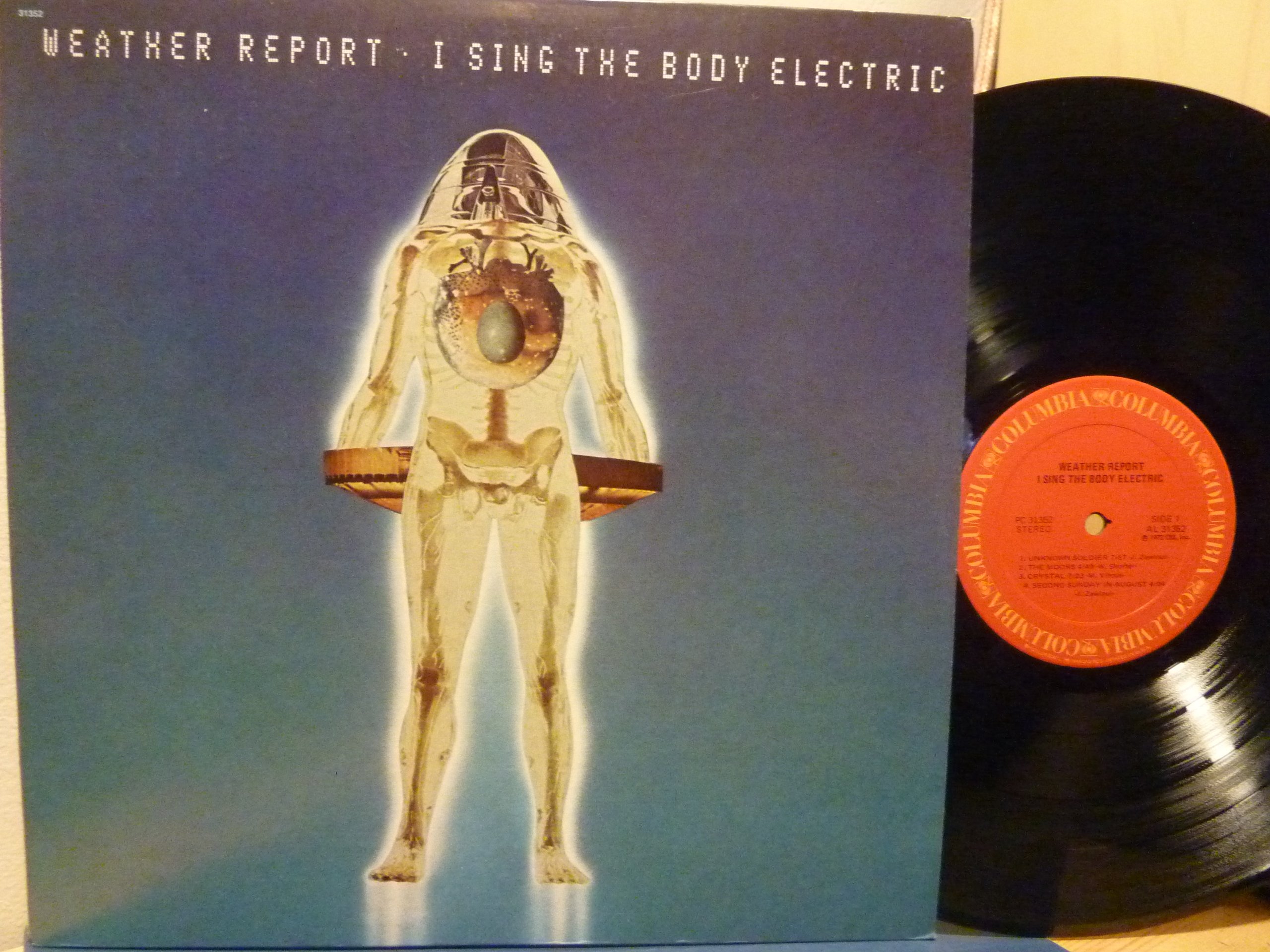 I Sing the Body Electric
