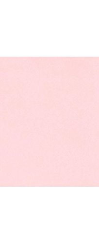 11x17 Candy Pink Paper - 500 Sheets, 80lb Text Weight | Printable for Crafting, Invitations, Scrapbooking, Brochures & Photos | Perfect for DIY Projects, Office Use & School Activities
