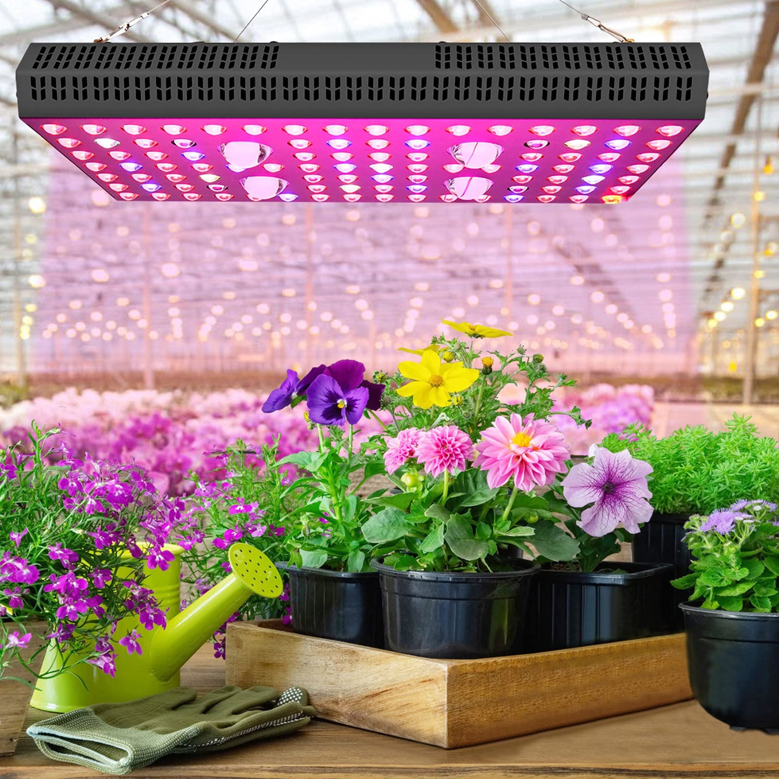 300W Full Spectrum LED Grow Light Panel for Indoor Plants - Dimmable Hanging Plant Light with Remote Control - Ideal for Seedlings, Hydroponics, Greenhouse, Succulents & Flowering Plants - Perfect for Home Gardening, Indoor Farming & Plant Growth Enhancement