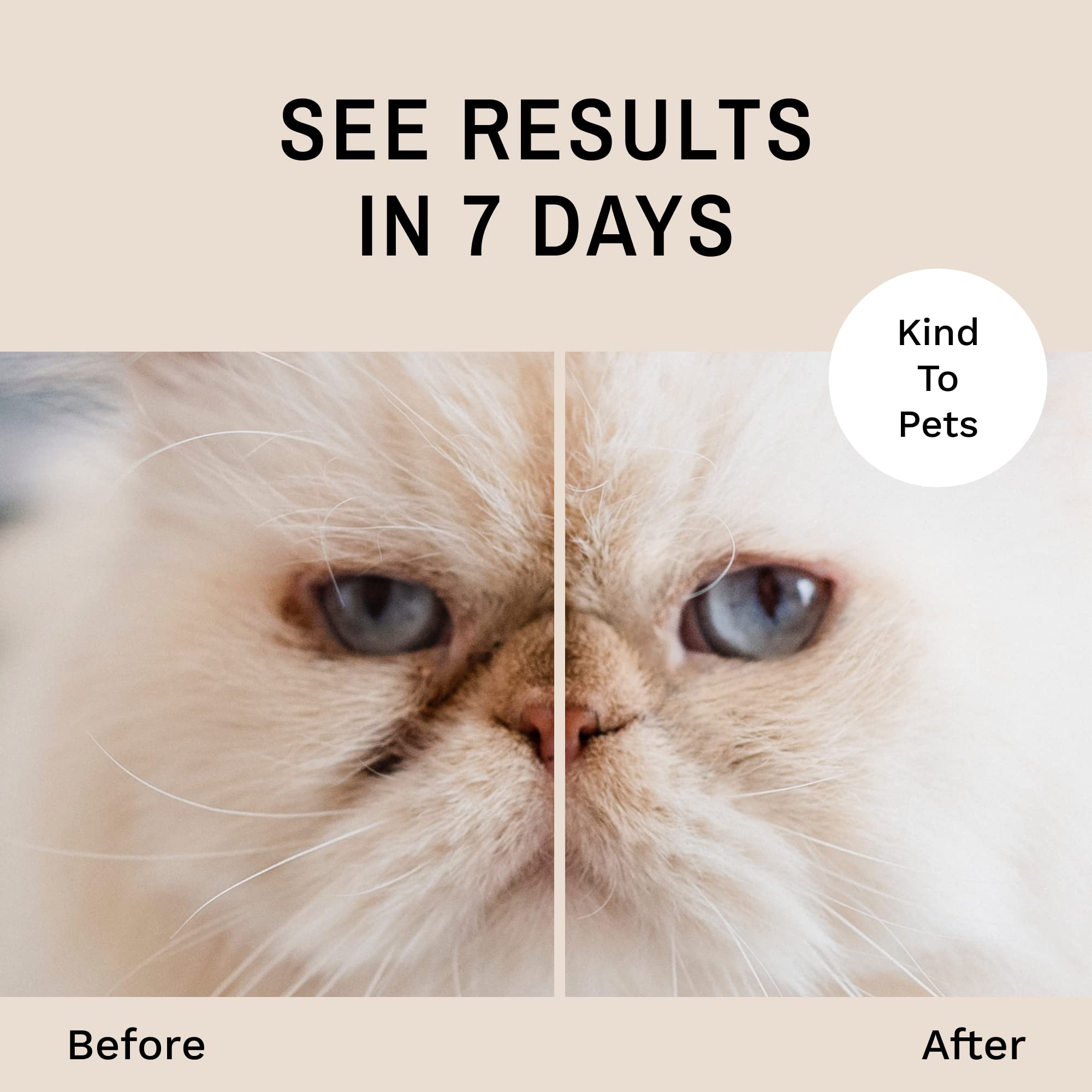 Eye Envy Dog Tear Stain Remover Powder - 2oz for Small & Medium Breeds | Safe & Effective Tear Stain Treatment for Poodles, Shih Tzus & Maltese | Daily Grooming Solution for Bright Eyes