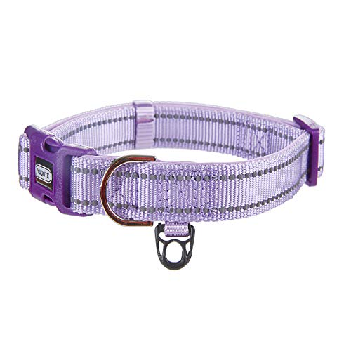 Collar-Lilac Purple