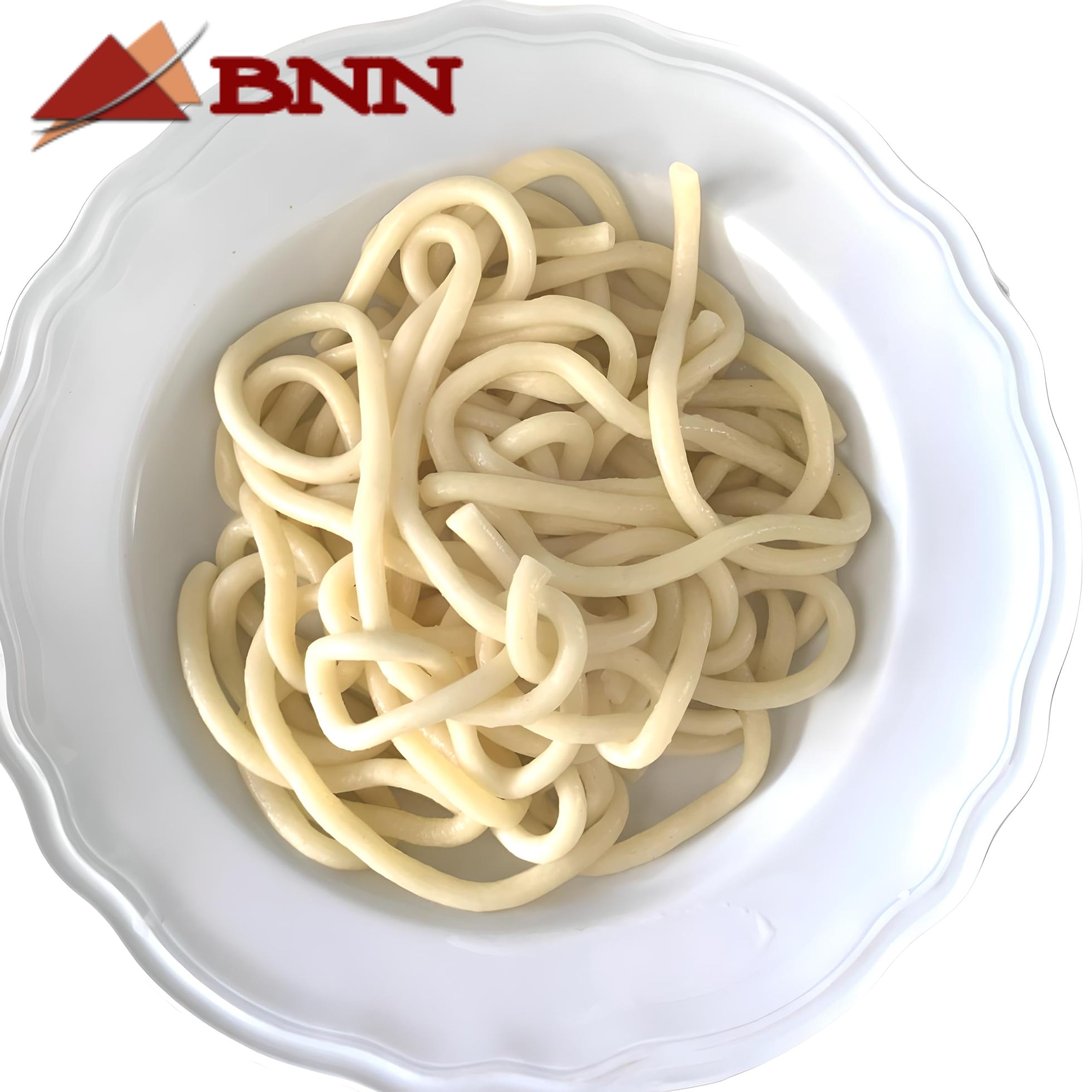 BNN Bucatini Pasta Disc - 3mm Diameter, Compatible with Philips Pasta Maker (ALBUCA03) - Perfect for Homemade Italian Pasta, Restaurant-Style Dishes & Family Dinners