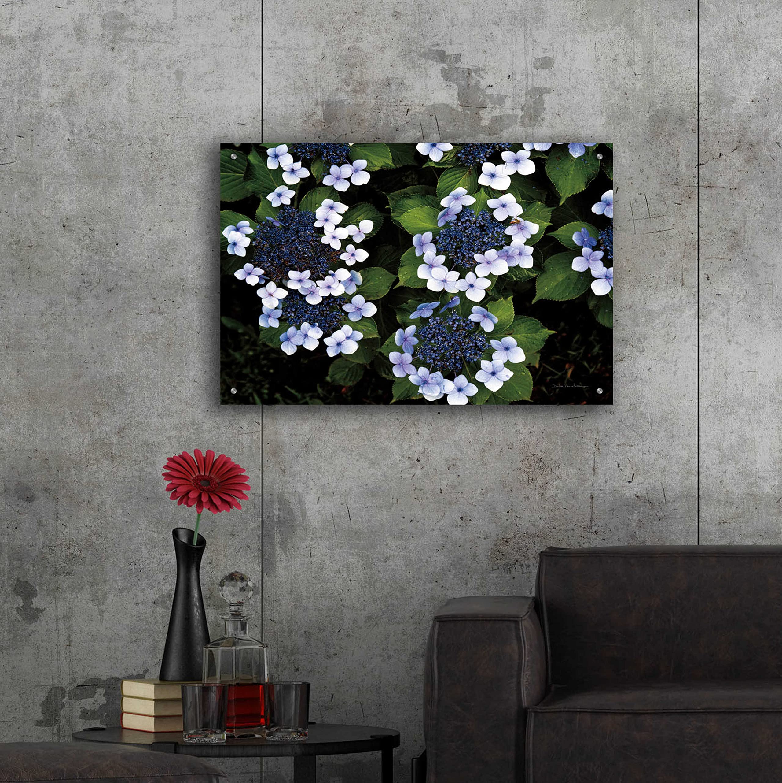 Debra Van Swearingen 'Hydrangeas Opening' Acrylic Glass Wall Art - 36x24 Inches Floral Painting for Living Room, Bedroom & Office Decor