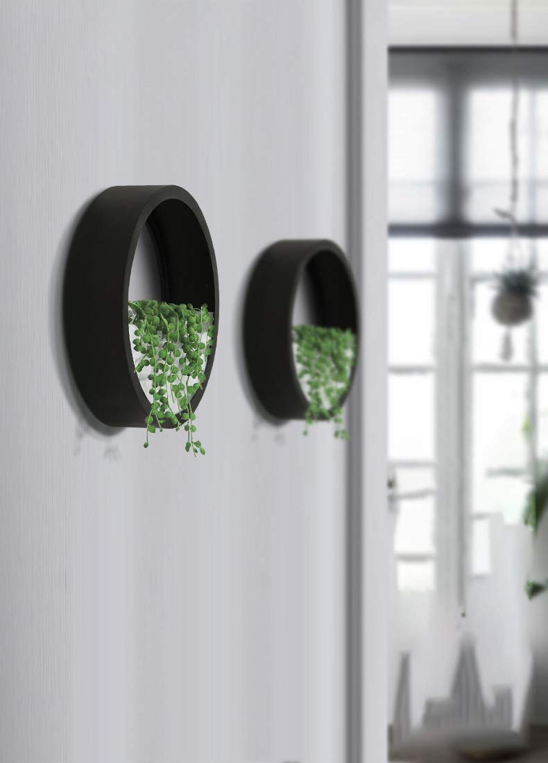 Ecosides 8