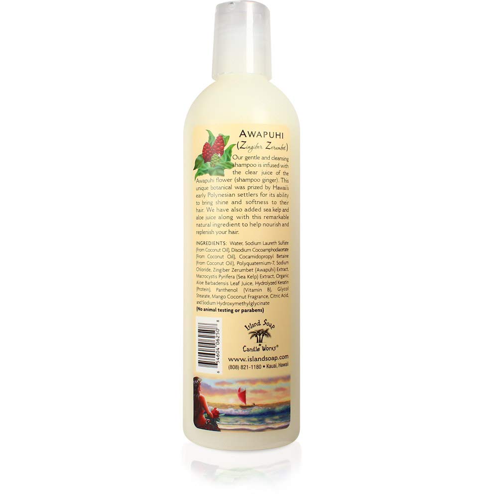 Island Soap & Candle Works Natural Shampoo for Hair Care - 12oz Coconut Scented Moisturizing Shampoo for Dry, Damaged Hair - Perfect for Daily Use at Home, Travel & Gifts