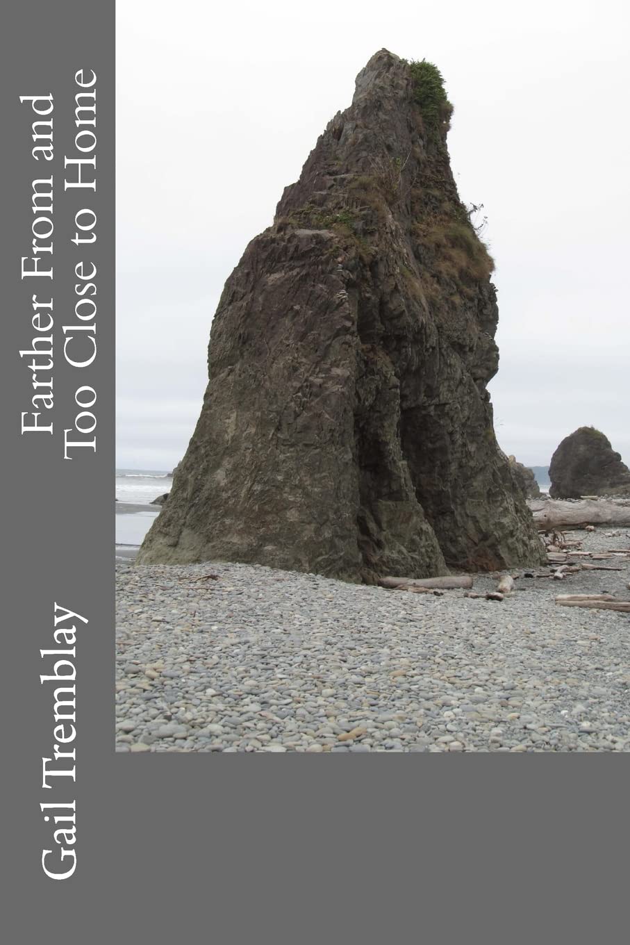 Farther From and Too Close to Home - A Thought-Provoking Novel About Family & Identity | Perfect for Book Clubs & Contemporary Fiction Lovers