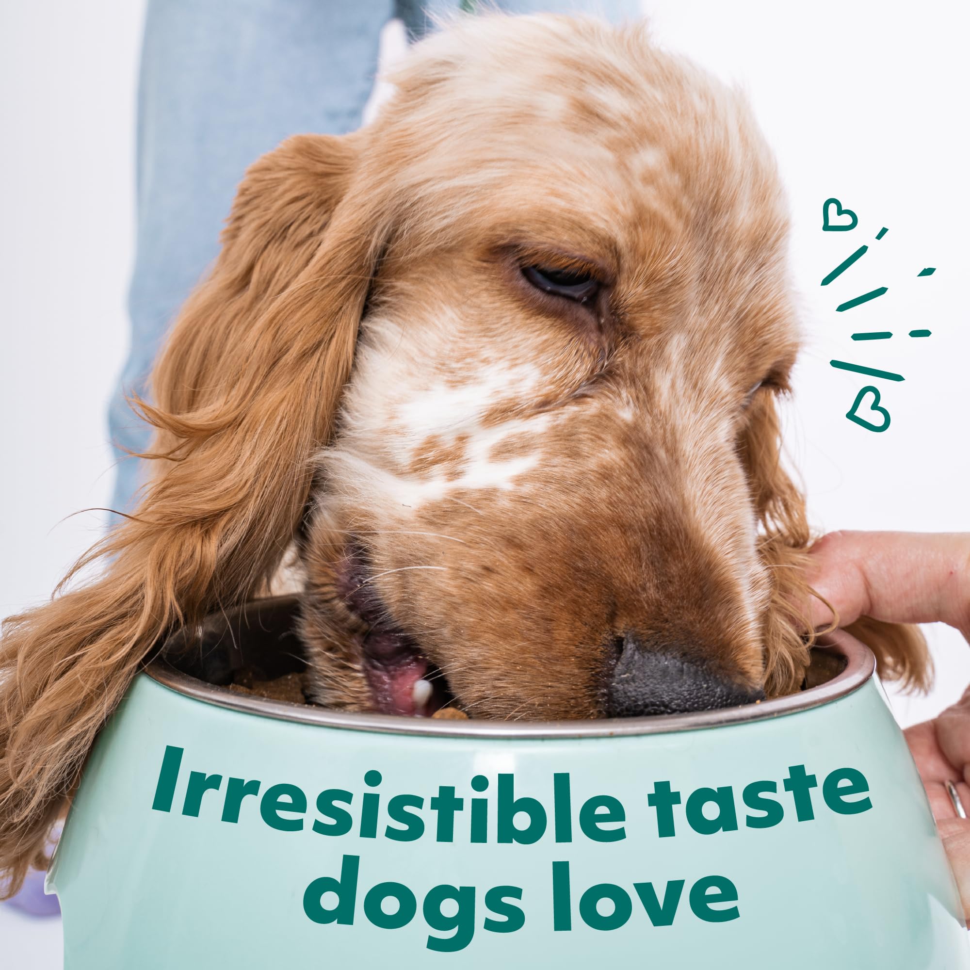 Optimal Dry Dog Food for Medium Dogs - High-Protein Turkey & Rice Recipe - Supports Healthy Digestion & Joint Health - 8.8 lb Bag - Perfect for Active Medium Breeds Like Labradors & Beagles - Made in Ukraine