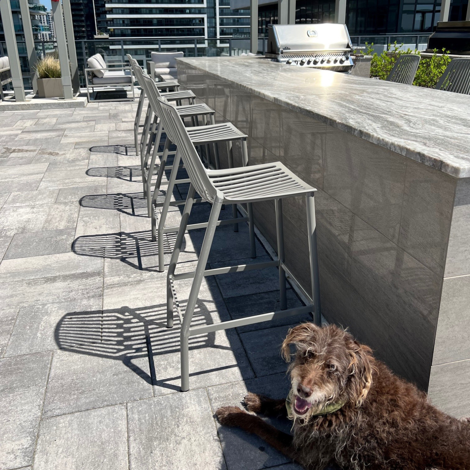 Venti Outdoor Bar Stool - Heavy Duty Metal Bar Height Stool with Backrest, Waterproof Cushion - Perfect for Patio, Deck, Poolside & Outdoor Dining Areas