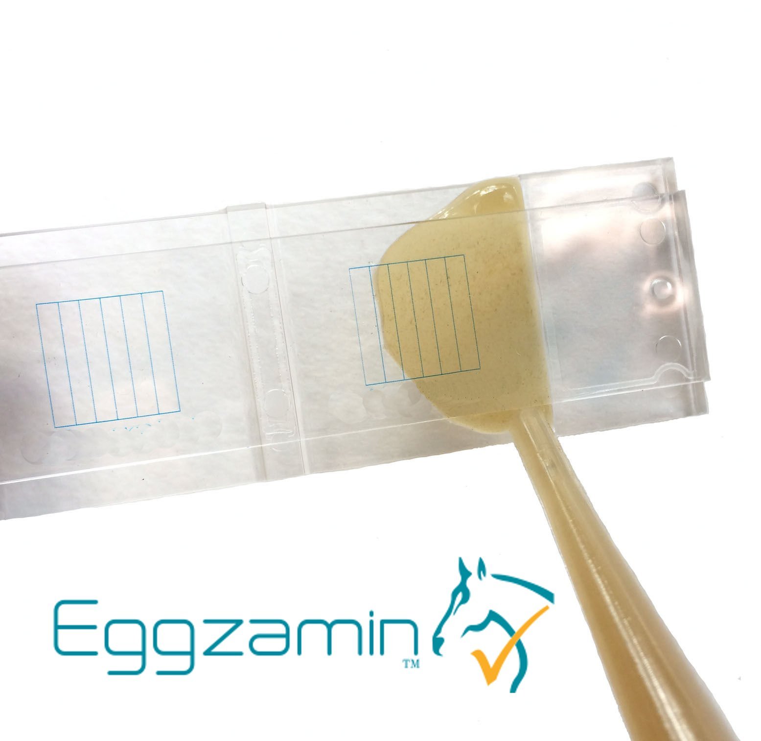 McMaster Method Microscope Slide for FEC (Fecal Egg Count) & Worm Testing - Double Chamber Parasite Detection Kit for Horses, Sheep, Goats, Cattle | Veterinary & Livestock Health Management Tool