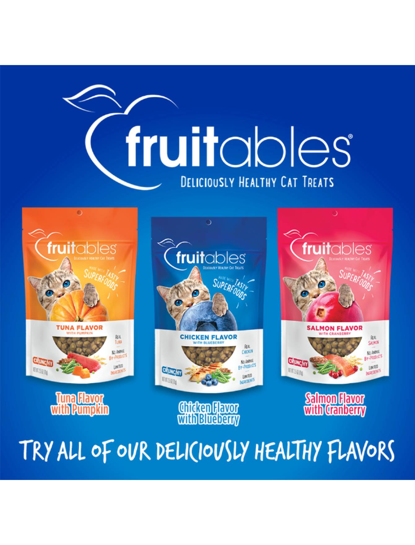 Fruitables Crunchy Chicken & Blueberry Cat Treats 2.5oz - Natural Grain-Free Cat Snacks for Indoor & Outdoor Cats - Perfect for Training, Rewards, and Daily Treats