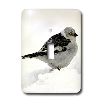 3D Rose Light Switch Cover - Decorative for Home & Office