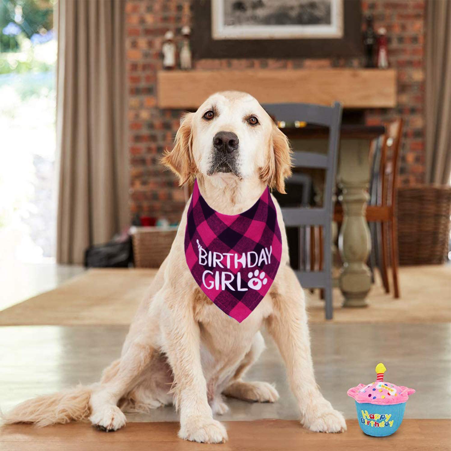 STMK 2 Pack Dog Birthday Bandanas - Cute Plaid Triangle Scarves for Birthday Boy & Girl Puppies | Perfect for Dog Birthday Parties, Photo Shoots & Special Occasions