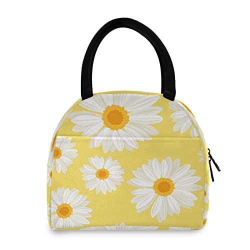 Daisy Flower