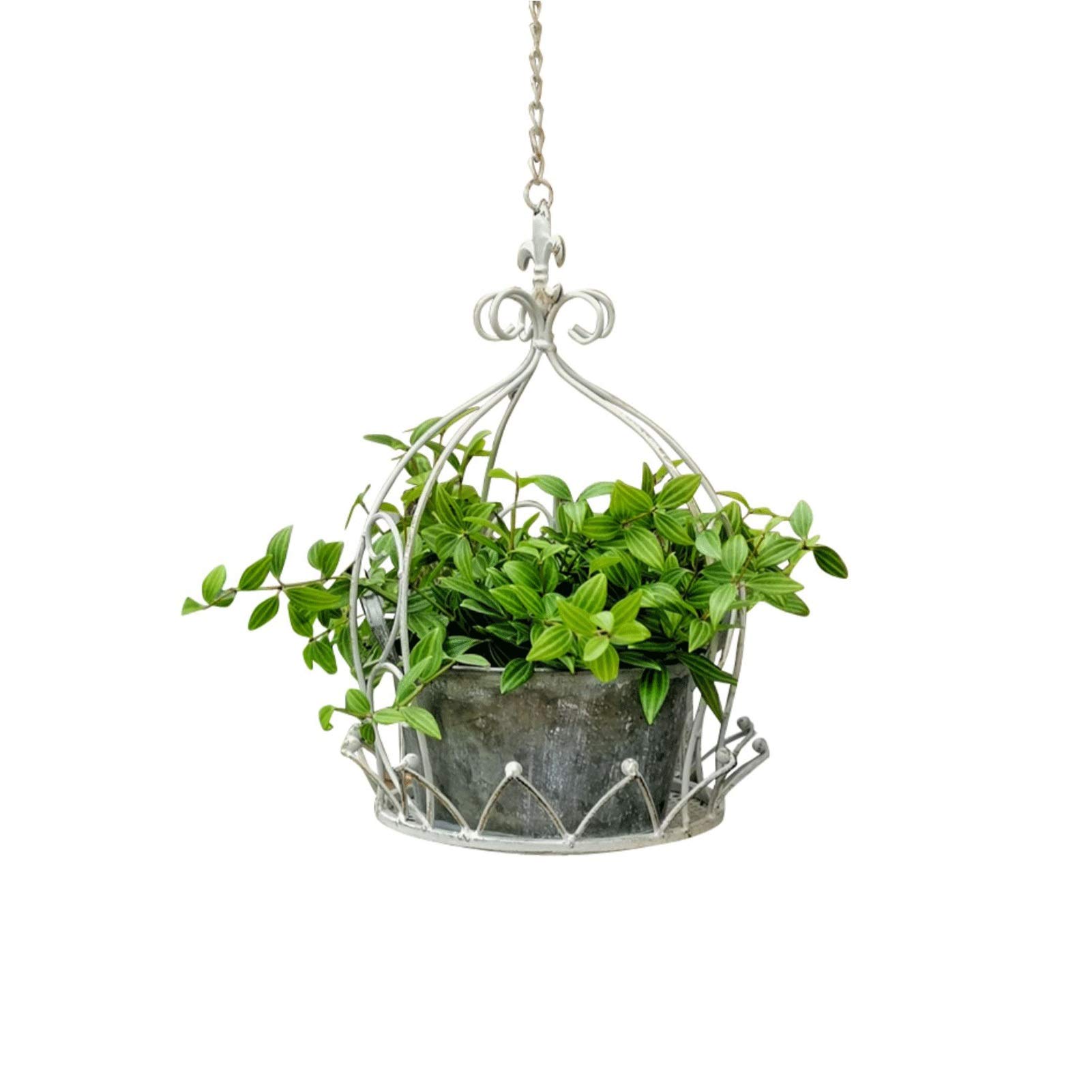 XYJNN Wrought Iron Wall Hanging Plant Shelf - Indoor Outdoor Flower Stand for Orchids, Green Dill & Hanging Baskets - Perfect for Balcony, Living Room & Garden Decor