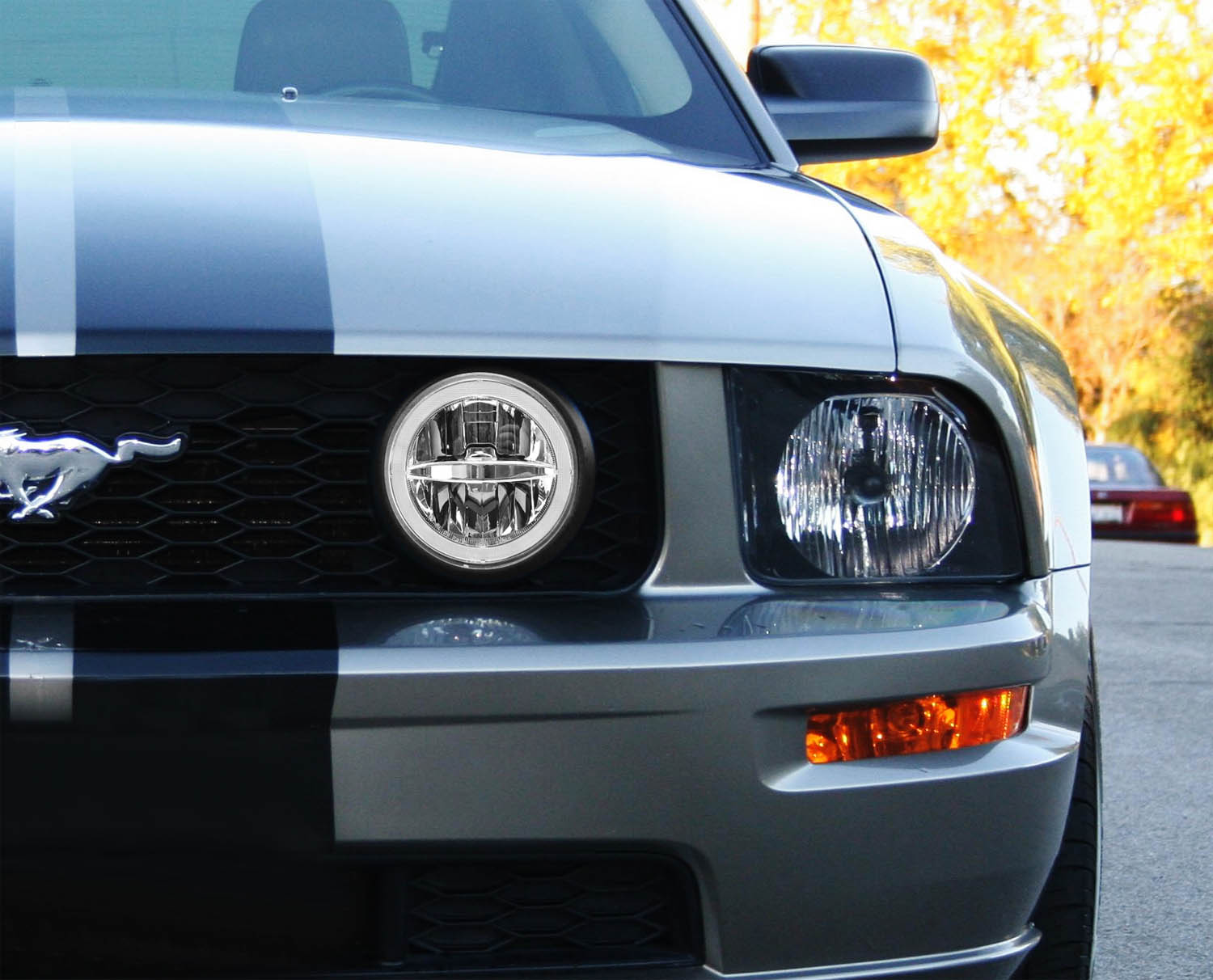30W CREE LED Driving Fog Light Kit with LED Halo Ring for 2005-2009 Ford Mustang - Durable Off-Road Lighting for Night Driving & Foggy Conditions