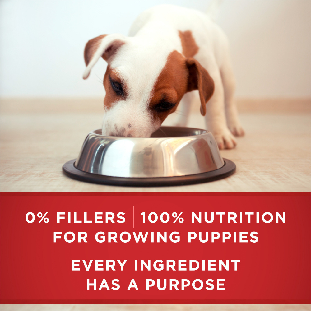Purina ONE SmartBlend Classic Healthy Puppy Lamb & Rice Canned Dog Food - High Protein Puppy Food for Growing Dogs, Perfect for Training Treats & Mealtime Nutrition