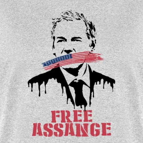 WikiLeaks Free Assange USA Flag Men's T-Shirt - Protest & Support