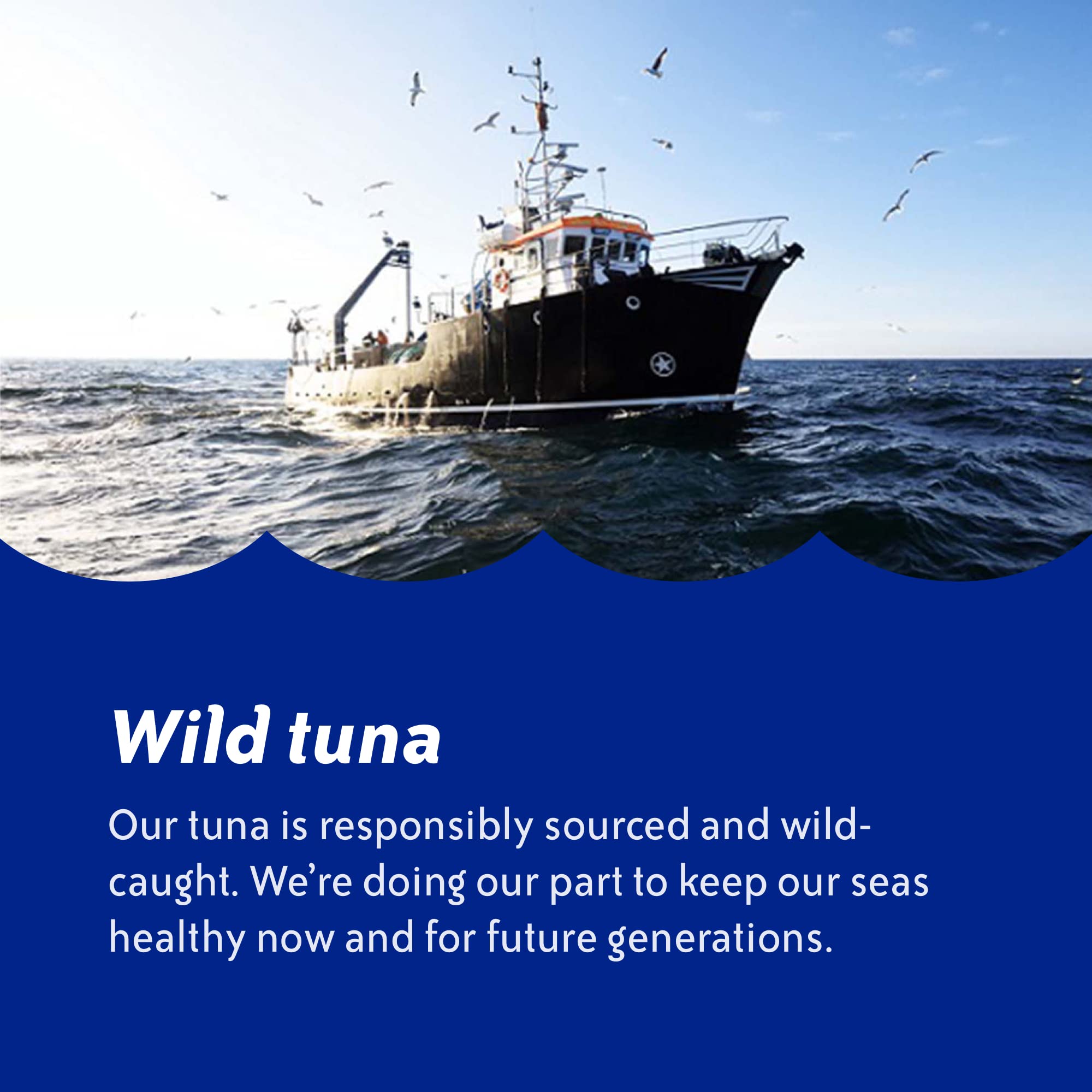 Premium Wild Caught Albacore Tuna in Water - Chicken of the Sea Solid White Tuna, 12 oz Can (Pack of 12) - Perfect for Salads, Sandwiches & Healthy Meal Prep