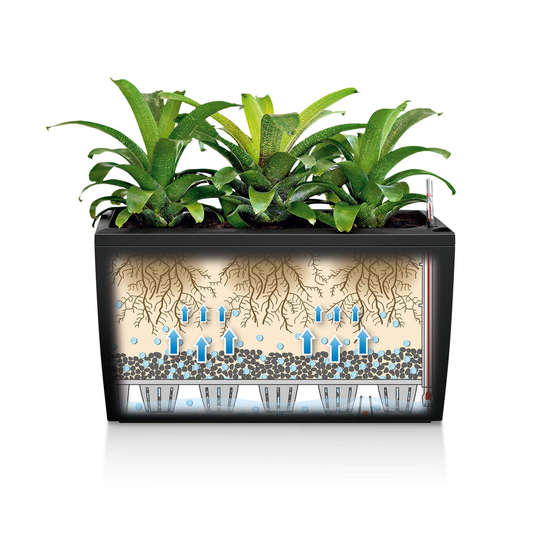 Lechuza CARARO Premium Black High Gloss Self-Watering Planter 18809 - Perfect for Indoor Plants, Home Decor & Office Spaces