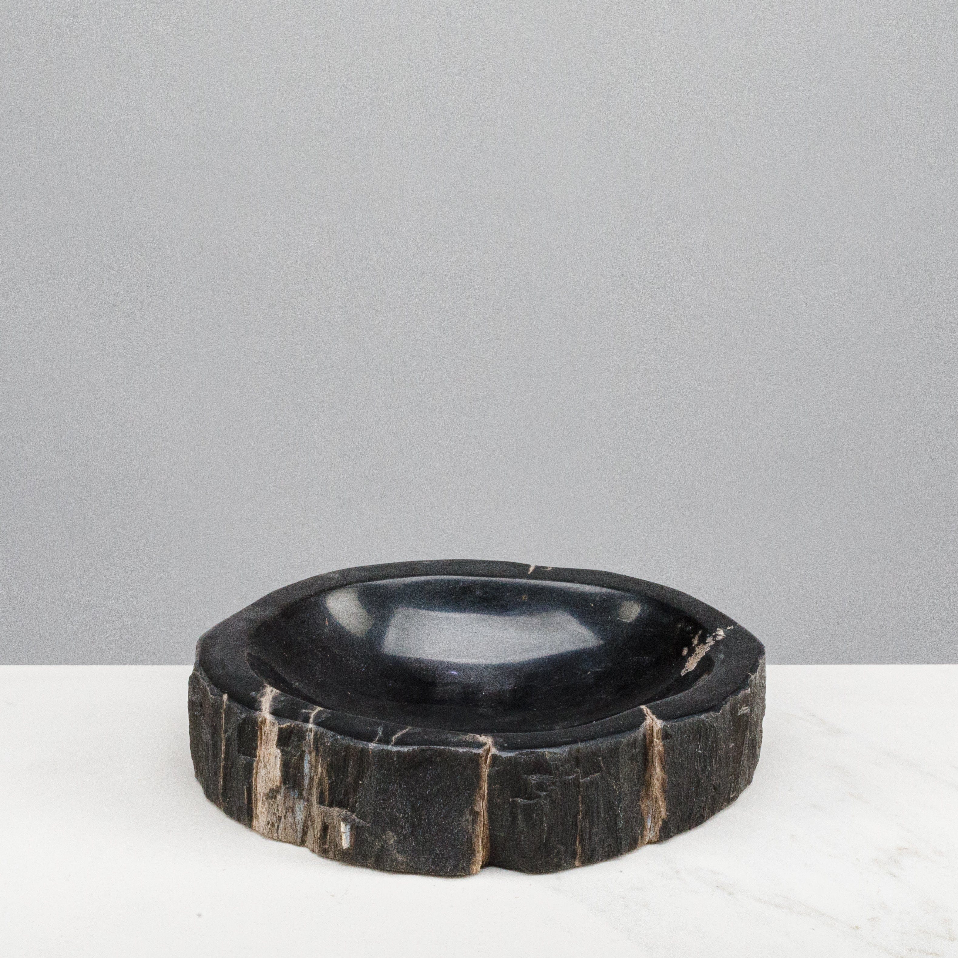 Natural Black Petrified Wood Catchall Bowl - Handcrafted Jewelry Dish & Home Decor Organizer for Rings, Keys, Coins - Perfect for Vanity, Dresser, Bathroom, and Entryway