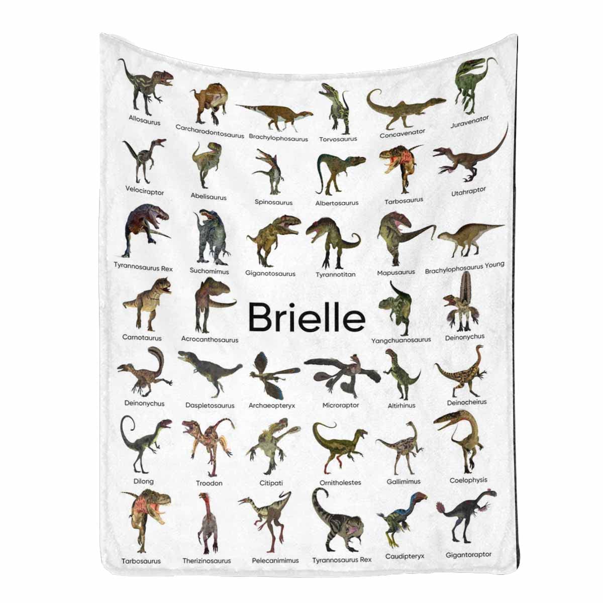 Personalized Dinosaur Blanket for Kids - Custom Baby Boy Girl Gift for Birthday & Christmas | 50x60 Inch Soft Throw Blanket for Bedroom, Nursery, or Couch | Mom to Daughter Gift Idea