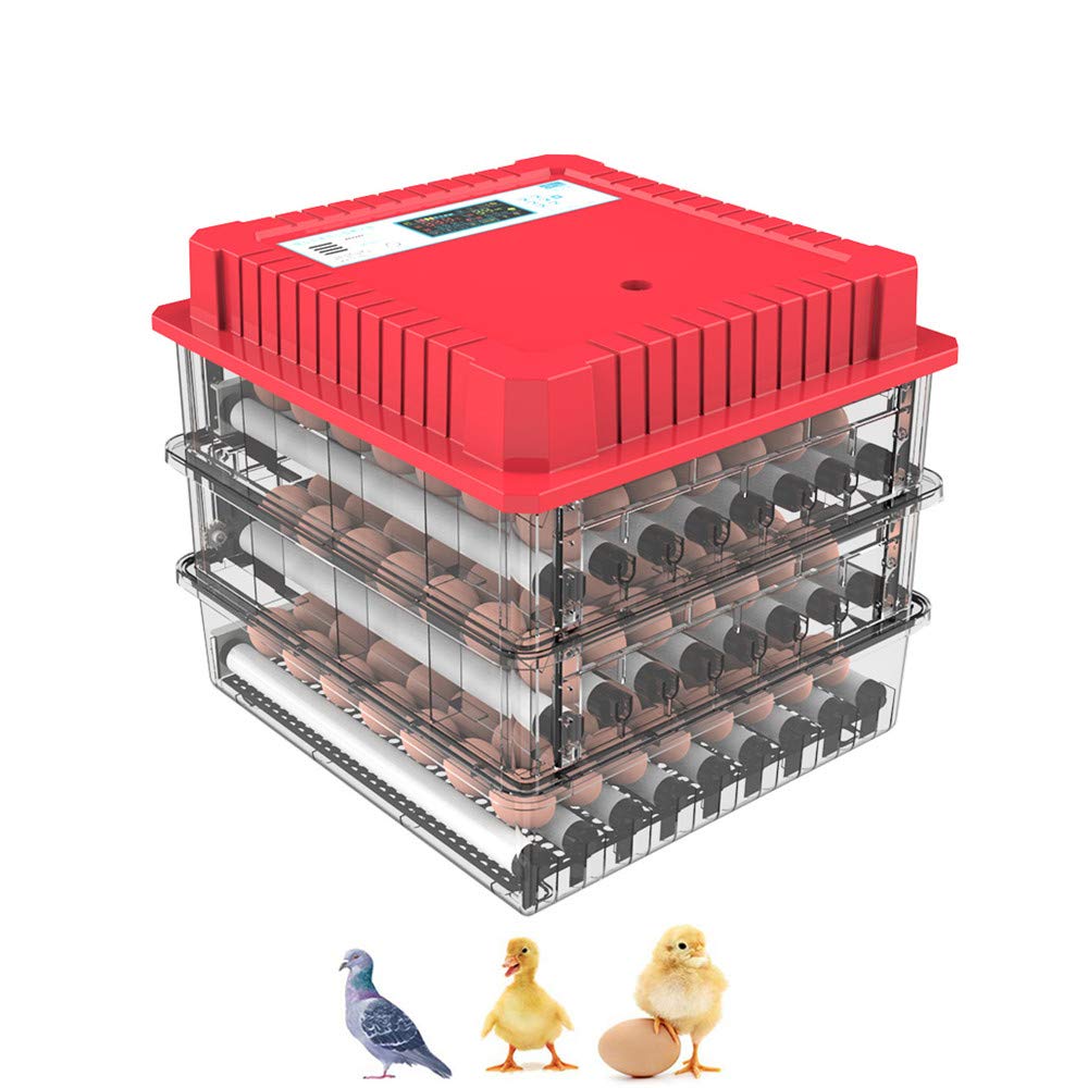 ZJDU 48 Egg Fully Automatic Digital Poultry Incubator with 360° Egg Turning & Humidity Control - Dual Power Supply for Hatching Chicken, Duck, Goose & Bird Eggs - Perfect for Home Farms, Backyard Poultry & Small Hatcheries
