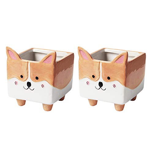 2 Pcs