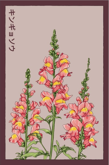 Premium Flower & Herb Seed Packets - Non-GMO, Organic Gardening Seeds for Indoor & Outdoor Planting - Grow Your Own Garden, Kitchen Herbs & Floral Arrangements