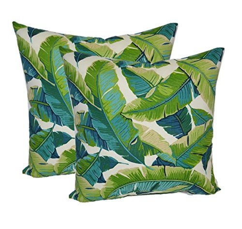 Square Throw Pillows Set of 2 - 20x20