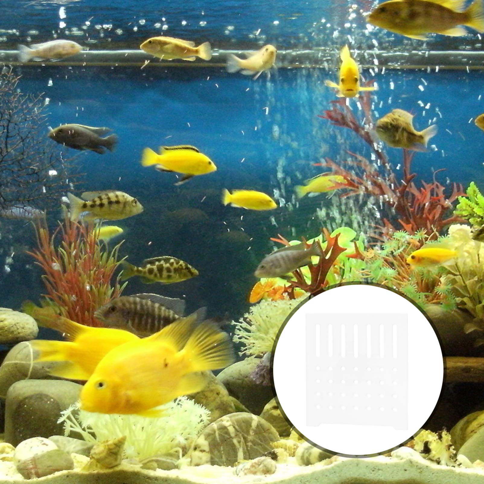Balacoo Clear Acrylic Aquarium Divider Panel - Fish Tank Separator Grid for Bottom & Breeding