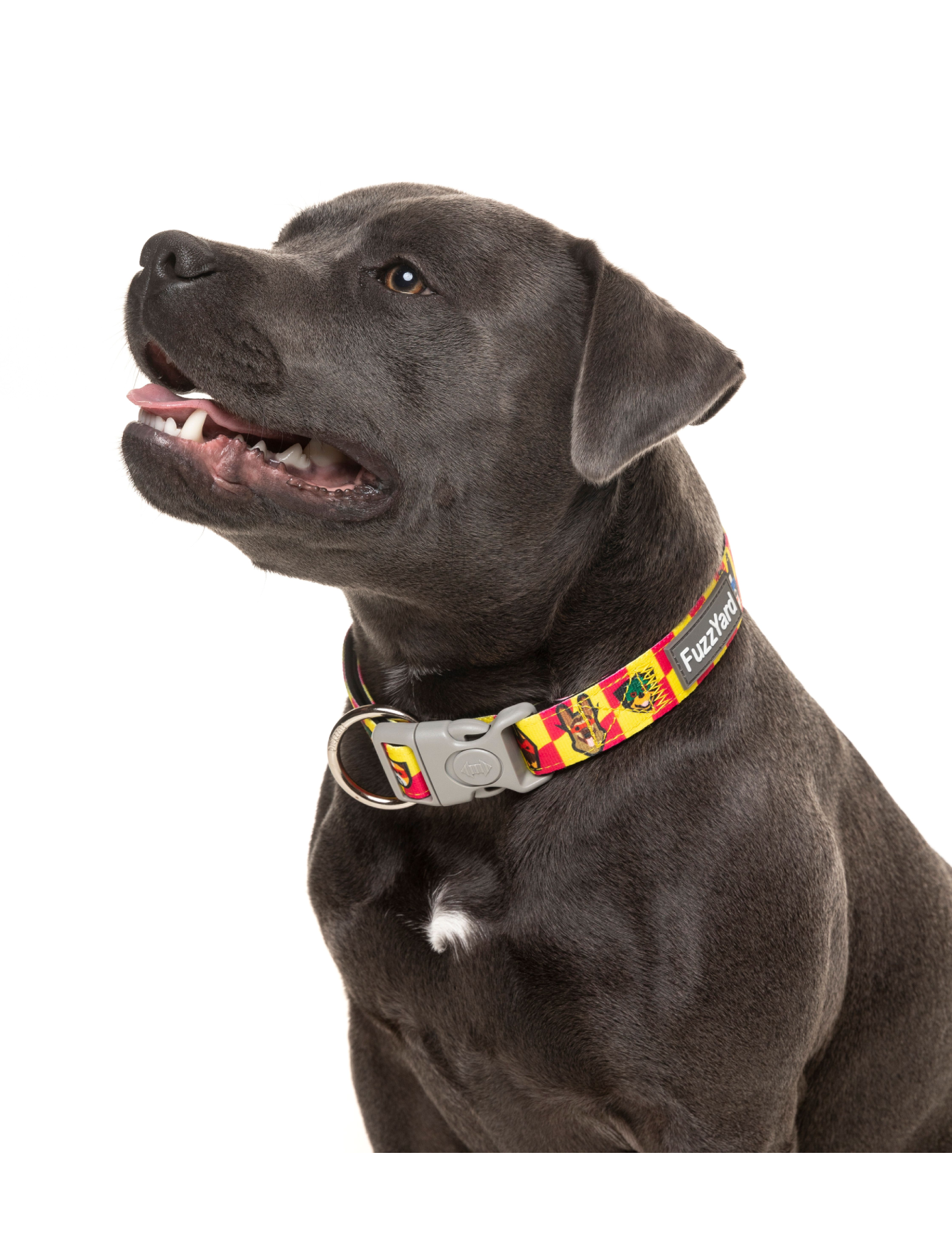 Fuzzyard Adjustable Pet Collar for Dogs - Durable & Comfortable Dog Collar (3 Sizes) - Perfect for Daily Walks, Training & Outdoor Adventures