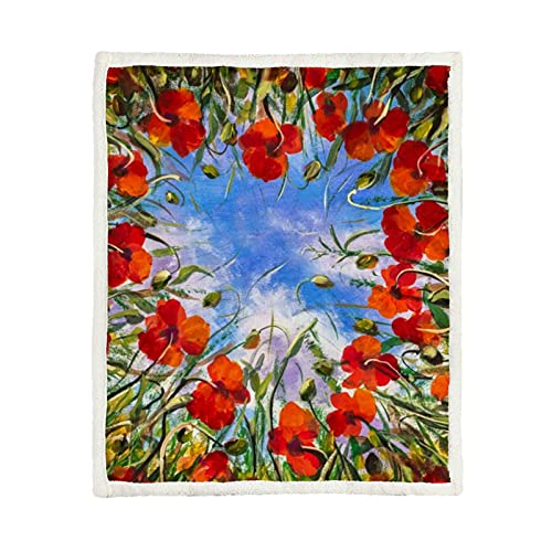 Red Flowers Poppies Poppy Flower