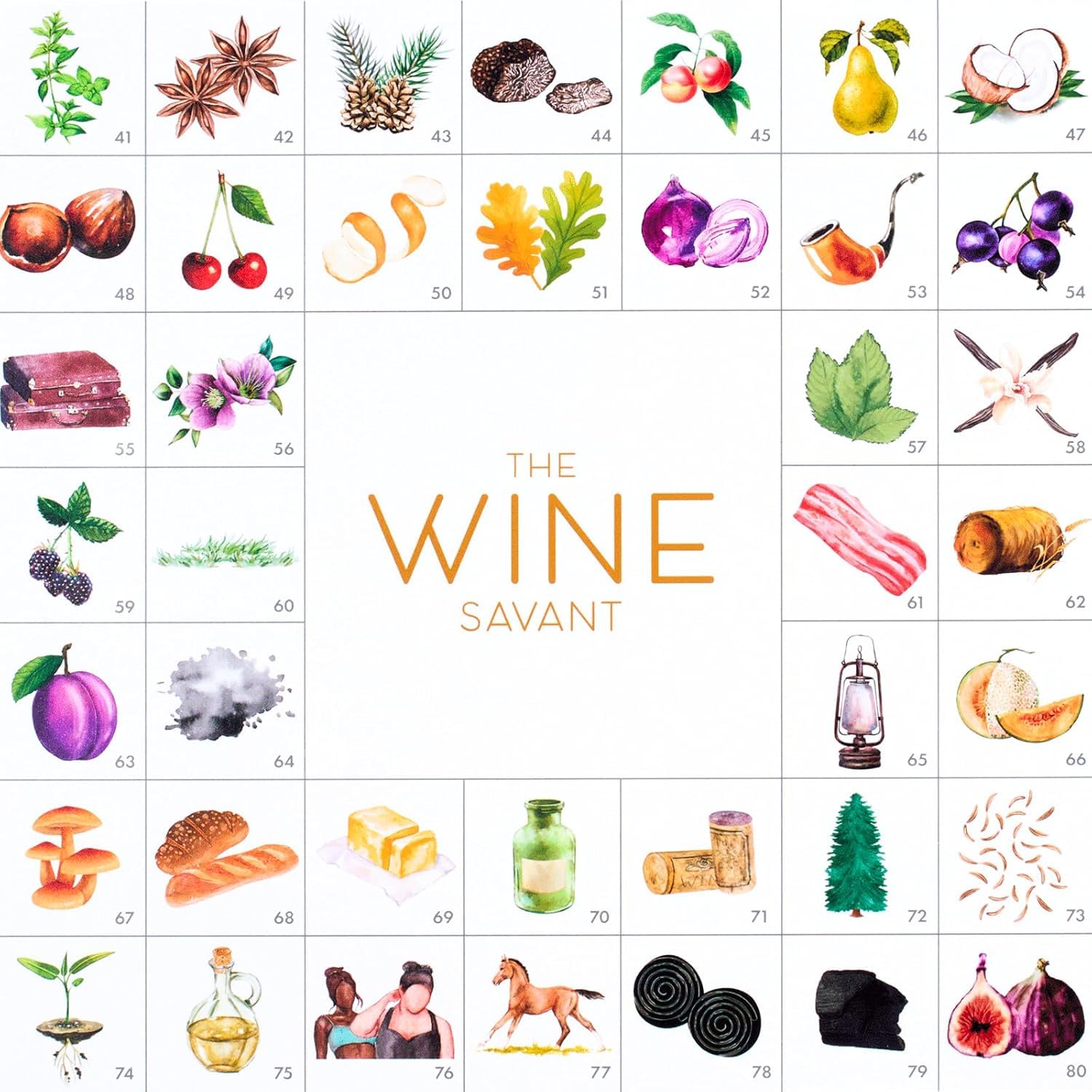 Premium Wine Aroma Kit - 80 Essential Scents for Red & White Wine Tasting | Sommelier Training Set with Educational Book & Accessories | Perfect Gift for Beginners, Wine Enthusiasts & Holiday Parties | Enhance Your Wine Knowledge & Host Memorable Tasting Events