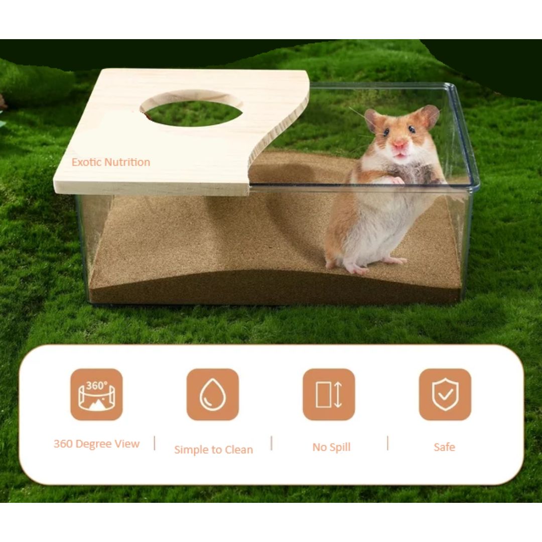 Premium Acrylic Sand Bath for Reptiles & Small Pets - Transparent Habitat for Bearded Dragons, Geckos & Snakes - Ideal for Basking, Digging & Natural Behavior Stimulation